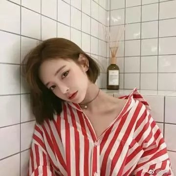 柳舟记