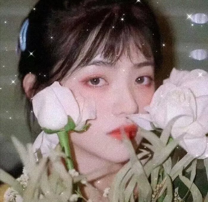 我们与恶的距离