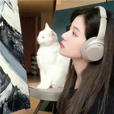 长相思第二季